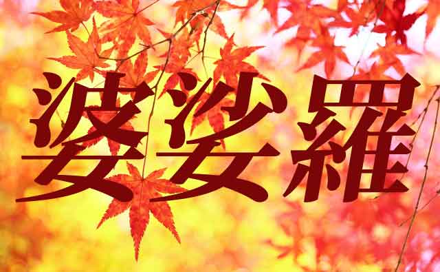 「ばさら」とは～行き詰った時代を変革する精神
