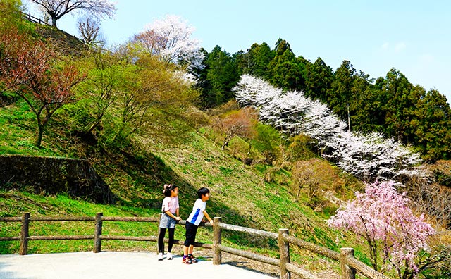 お丸山公園