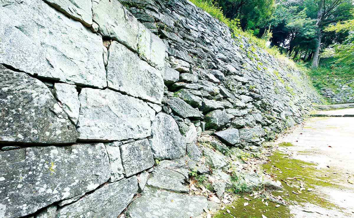 裏坂の石垣。手前が打ち込み接ぎで、奥が野面積みになっている