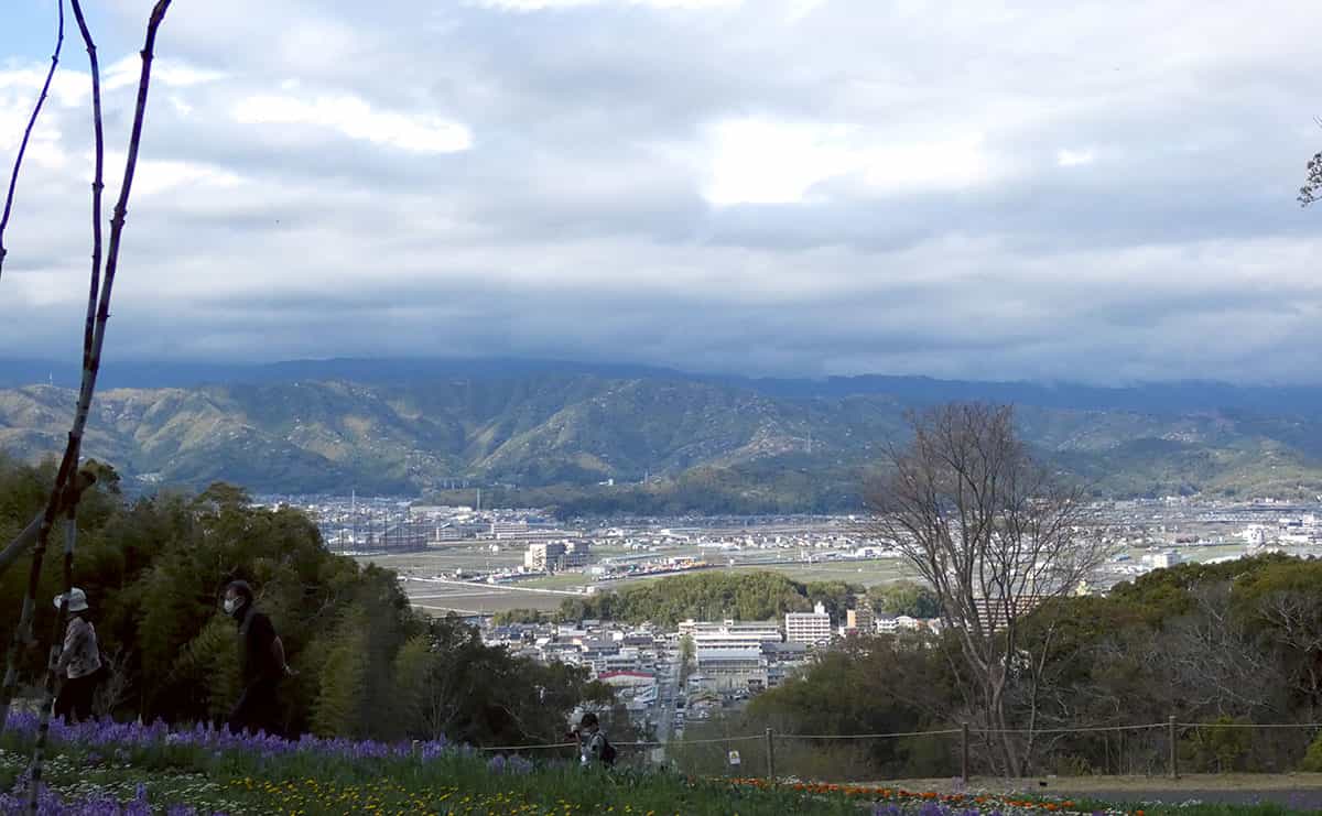 高知県立牧野植物園
