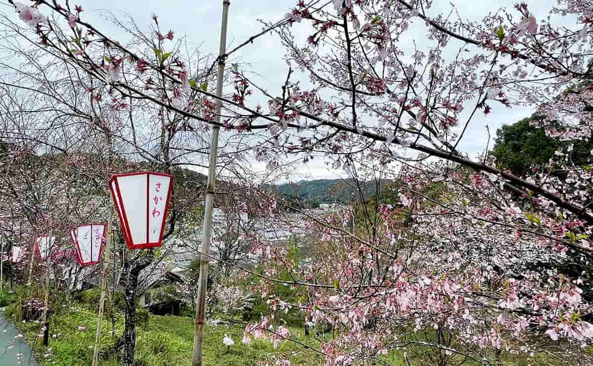牧野公園
