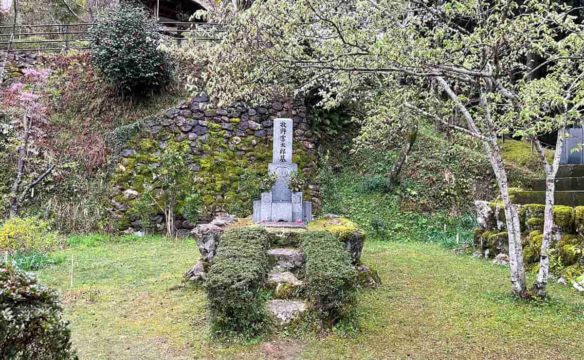 牧野富太郎の墓