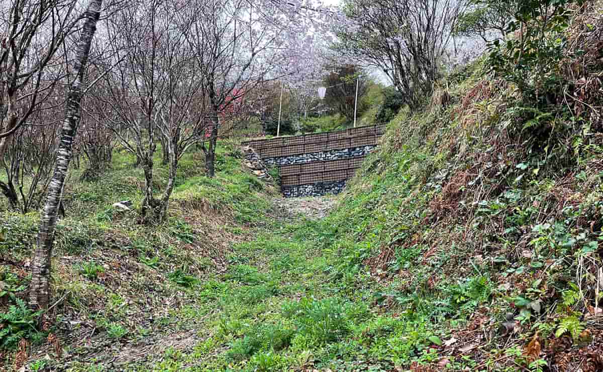 佐川城時代の土塁