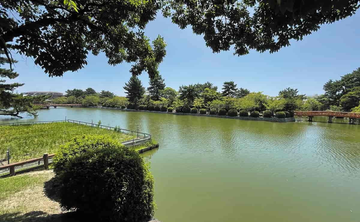 九華公園の水堀
