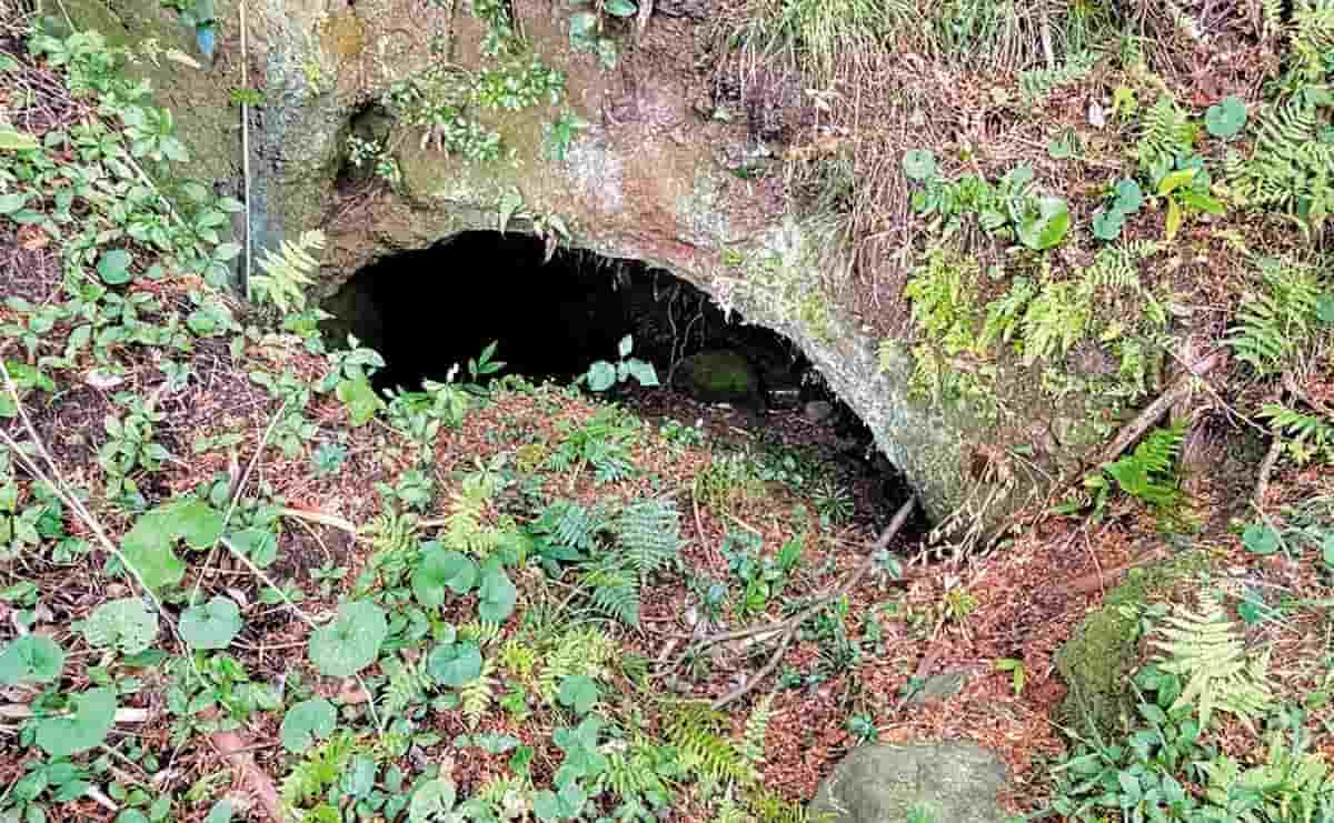 自徳庵