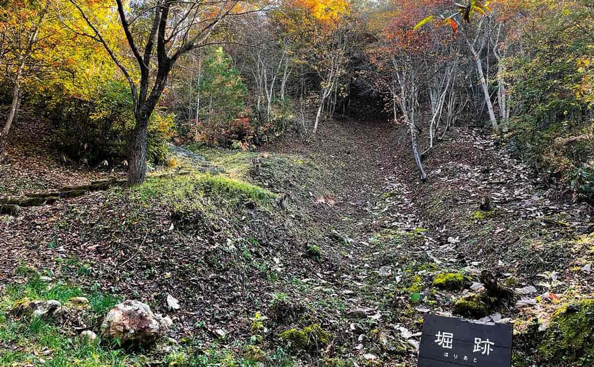一曲輪にある竪堀