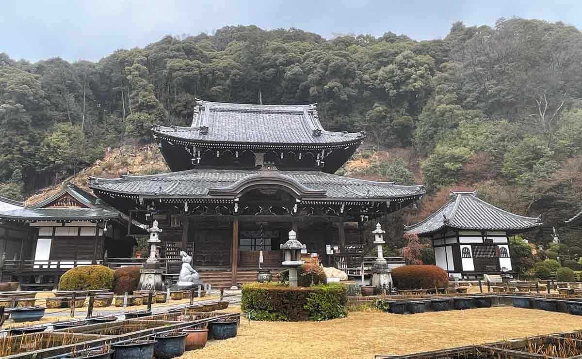 三室戸寺