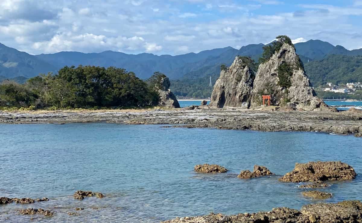 南紀勝浦の名産「生まぐろ」　高度経済成長期の食を支えた勝浦漁港の歴史