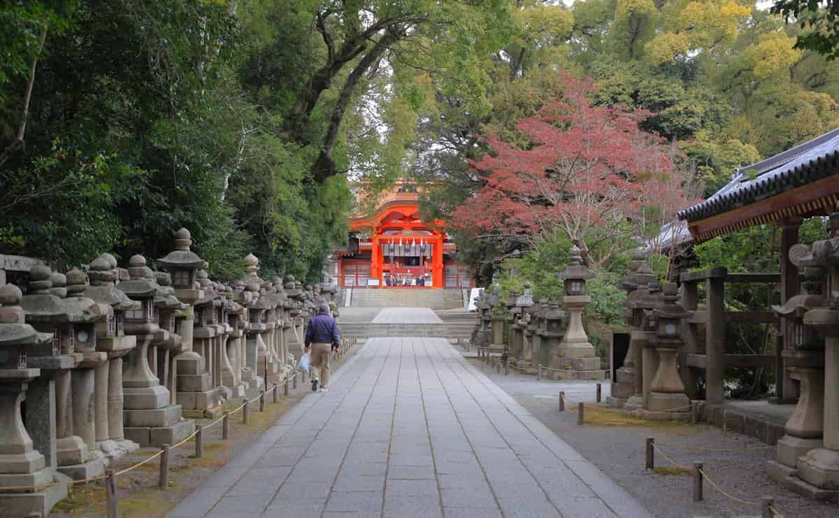 「松花堂弁当」の名前の由来とは?　四つ切り箱に見る茶人の美