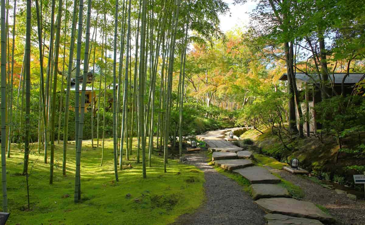 松花堂庭園の外園の一角