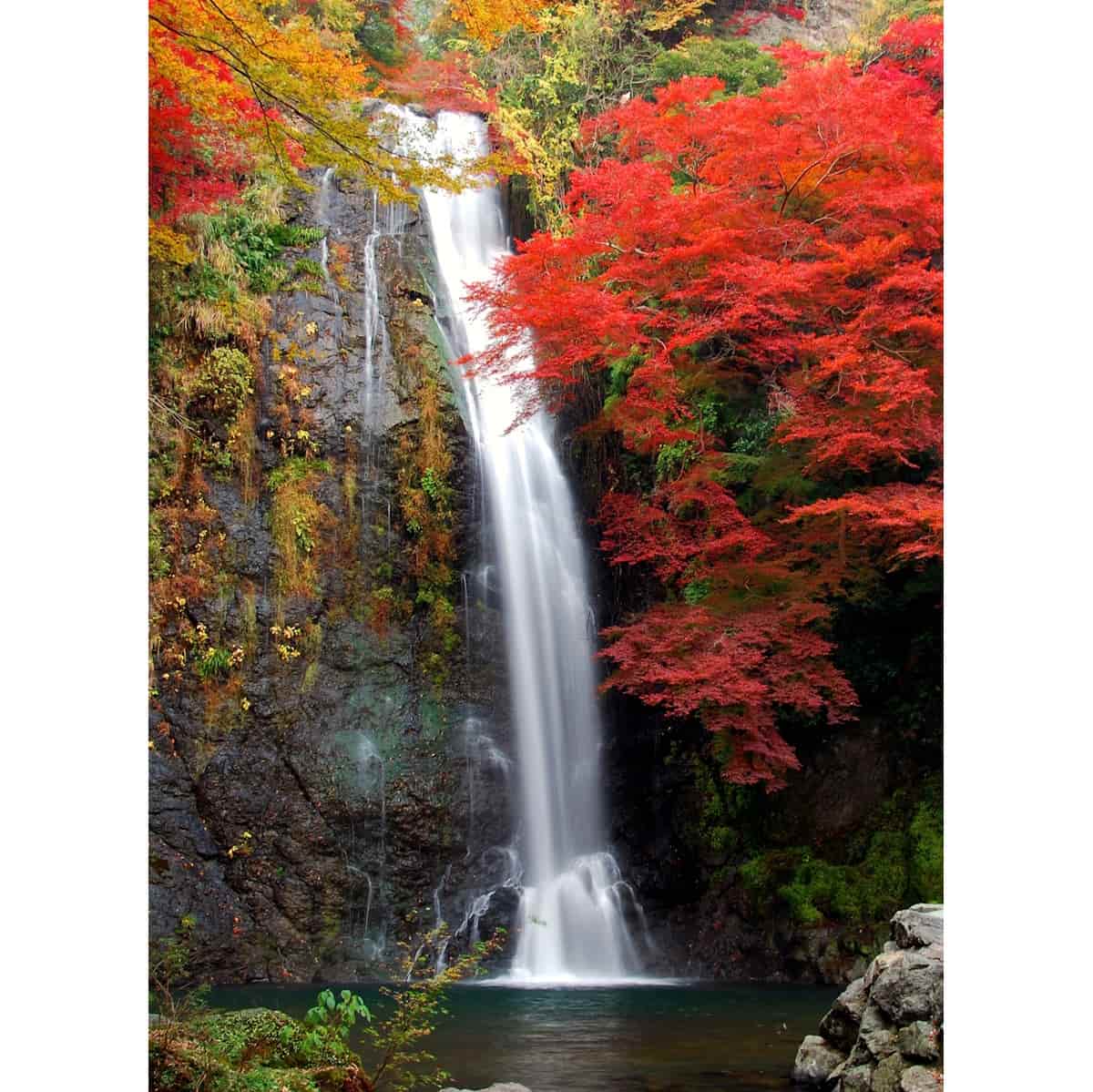 紅葉の季節の箕面大滝