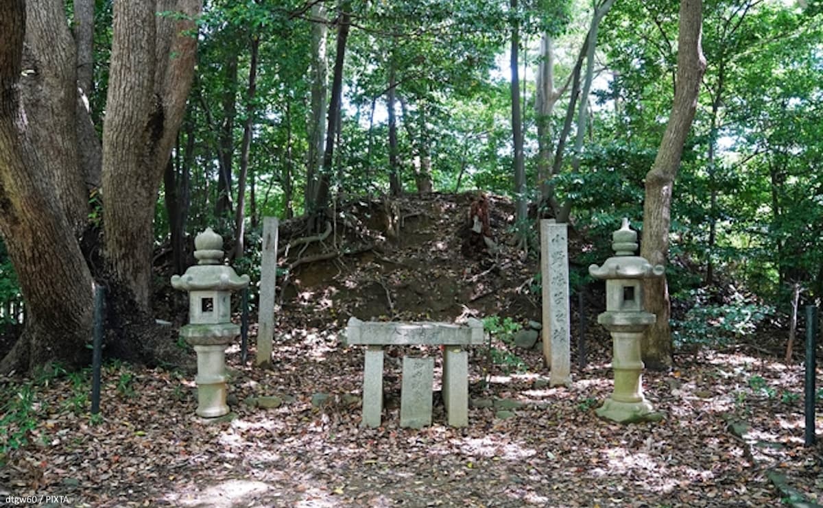 小野妹子は国書を紛失、高向玄理は帰国できず...海を渡り中国に学んだ日本人（前編）