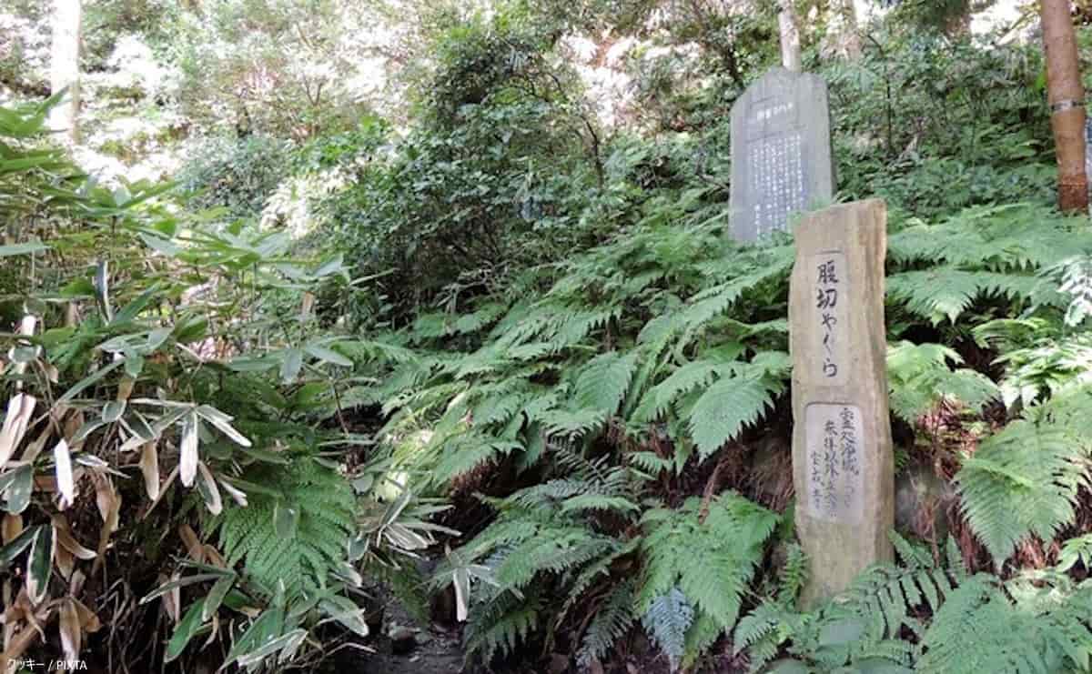 北条時行はどんな人物？ 7歳で挙兵し、18年間戦い続けた波乱の人生