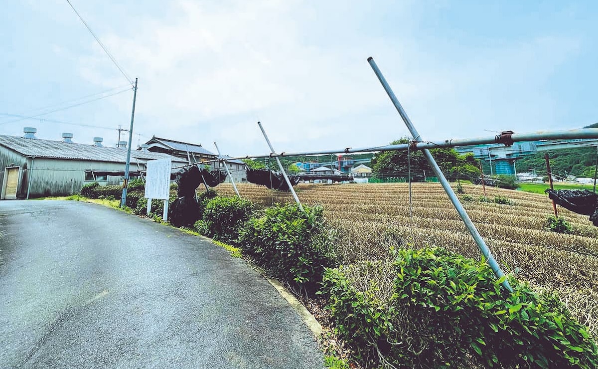 写真：山口城跡