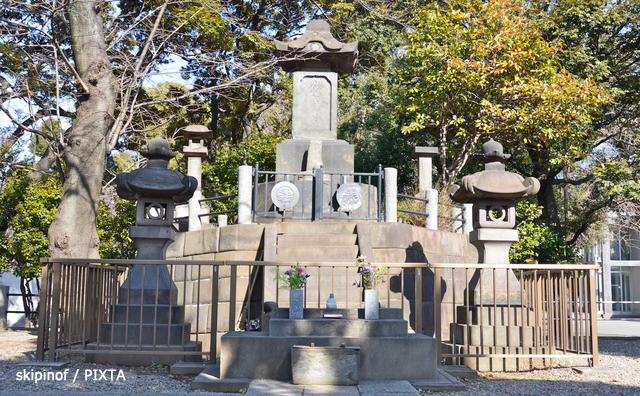 情夫にするなら彰義隊～上野戦争に散る