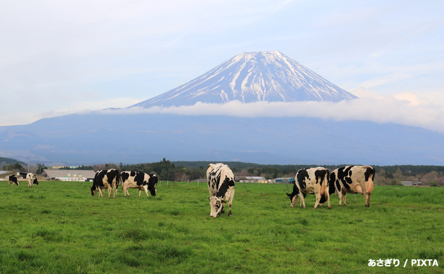 富士山